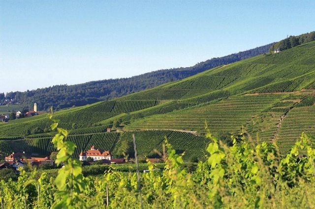 بادن بادن... اكتسبوا الصحة والعافية في مياه المدينة الدافئة