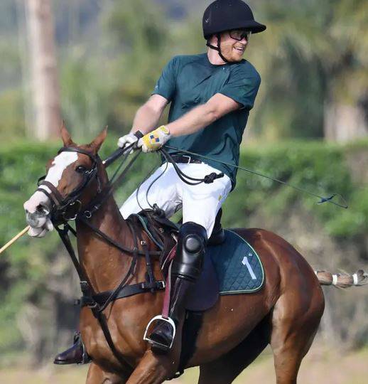 لقطات توثّق لحظة سقوط الأمير هاري عن صهوة حصانه