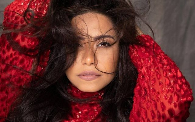 شيرين عبد الوهاب تحسم الجدل حول سرقة أموالها وتهديد حسام حبيب لها