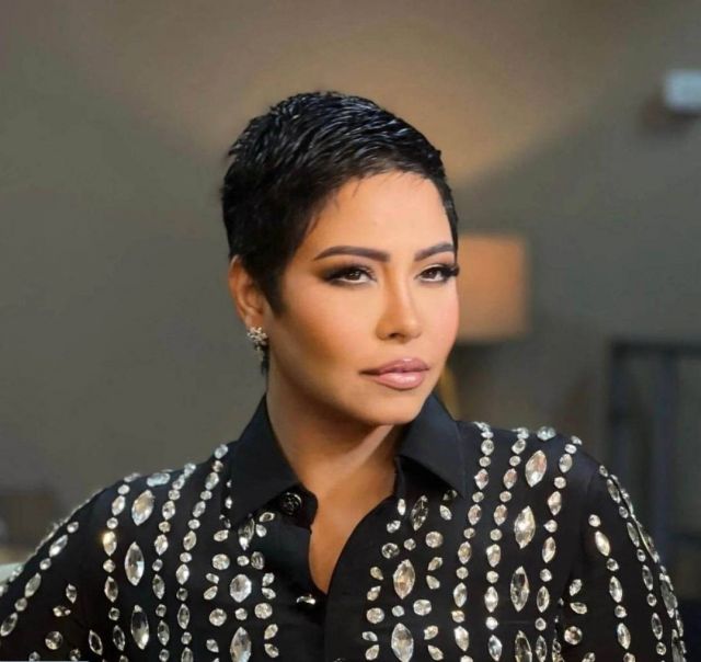 بلاغ جديد من شيرين ضد والد حسام حبيب... وهذه التهمة