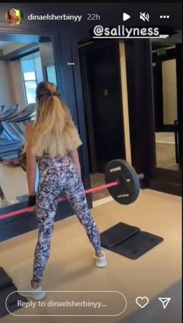 منشور دينا الشربيني 