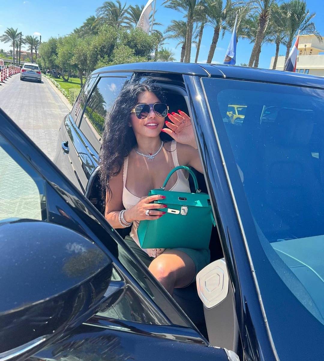 هيفاء وهبي في القاهرة لاستكمال تصوير 