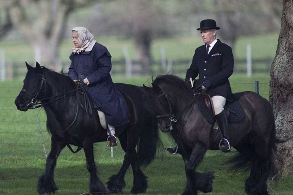 الملك تشارلز الثالث يعيّن موظفاً لإيقاظه ويقرر بيع أحصنة للملكة