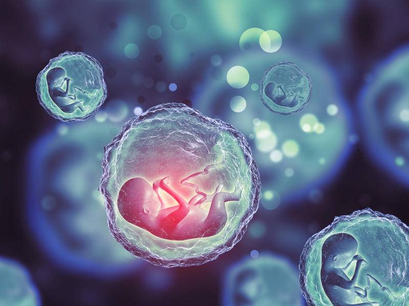 الحمل من نقل الأجنّة المجمّدة قد يسبب هذا المرض... كُنّ حذيرات!