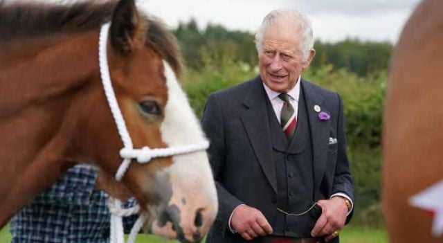 بعد بيعه خيول الملكة اليزابيث الثانية... كم جنى الملك تشارلز؟