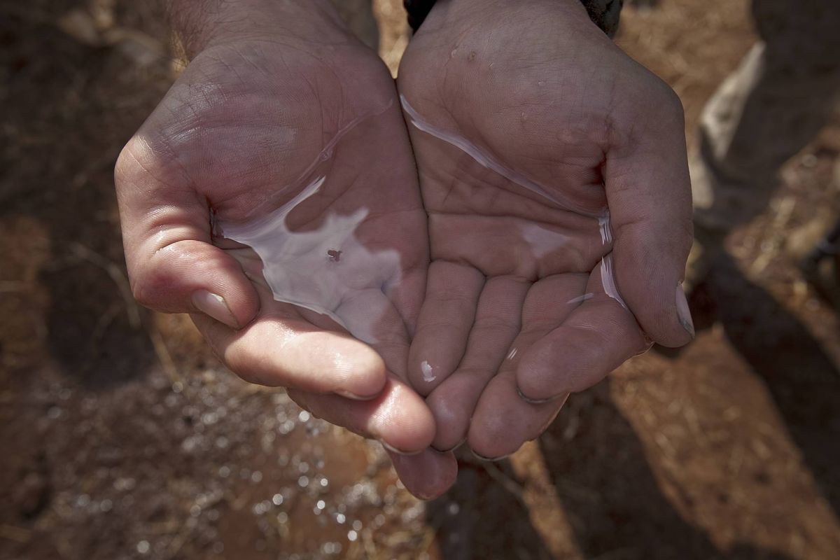 الكوليرا يهدّد كوكب الأرض مجدّداً... إليكم الأعراض وطرق الوقاية منه