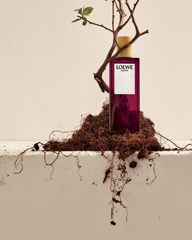 LOEWE Earth عطر الأرض وروعتها
