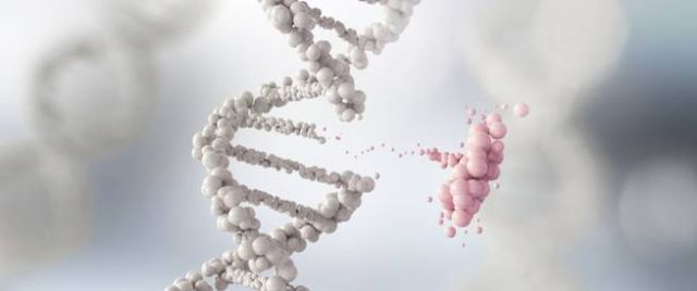 حلّ لغز أول اضطراب جيني يصيب الأطفال حول العالم!