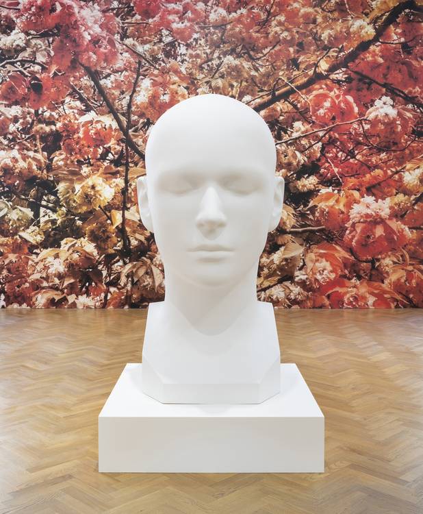 معرض عن الميتافيرس ضمن برنامج فن أبوظبي الفني