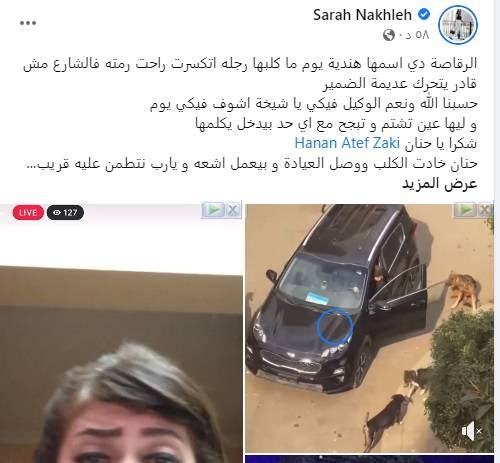 منشور سارة نخلة