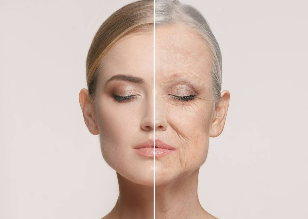 حلم الجرعة المضادة للشيخوخة قد يصبح حقيقة في 2028!؟