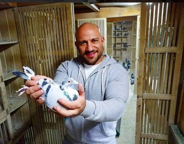 بالفيديو - أحمد مكي يعلن فوزه بمسابقة الحمام الزاجل في الإمارات