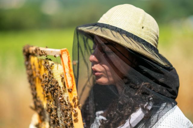 دار GUERLAIN  تحتفل ببرنامج نساء من أجل النحل في مختلف أنحاء العالم احتفاءً بالمرأة
