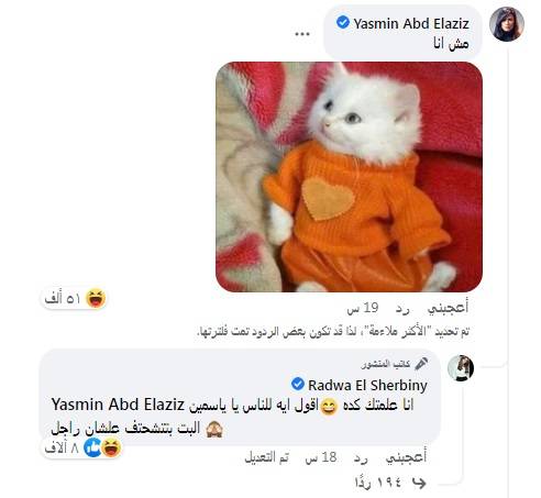 منشور رضوى الشربيني 