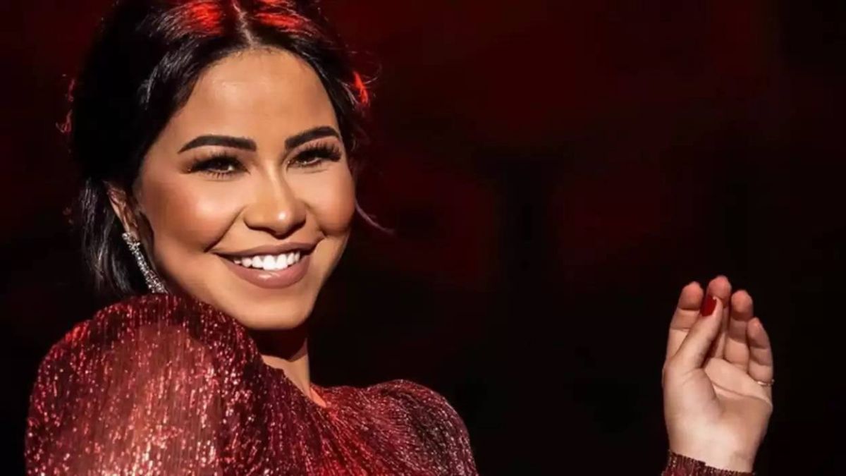 مستند جديد يكشف تطورات أزمة شيرين عبد الوهاب وشركة 