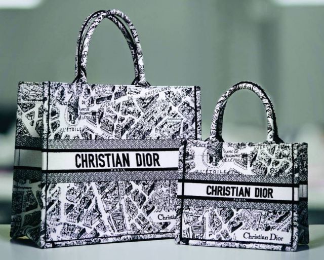 خريطة باريس مطرّزة على حقيبة Dior Book Tote
