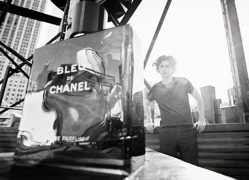 تيموتي شالامي... السفير الجديد لعطر BLEU DE CHANEL