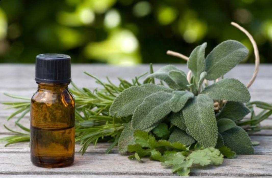 إذا كنت تعانين من مشكلة التعرّق في الصيف... جرّبوا هذا الزيت!