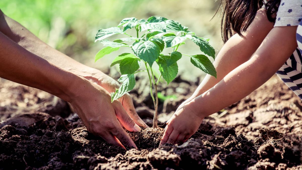 منتجع وفلل أنانتارا ديسارو كوست
يطرح تجارب جديدة للضيوف تتمحور حول الطبيعة