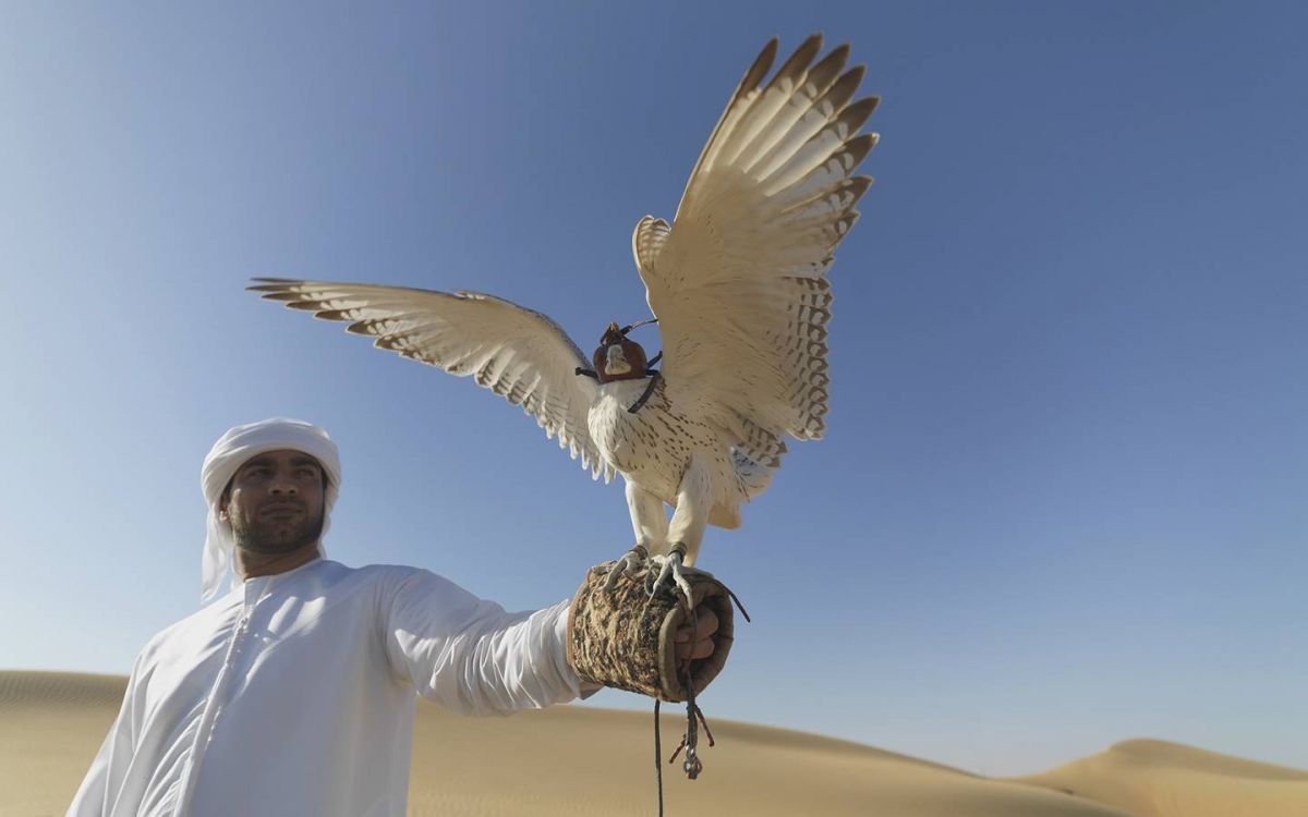 أكثر من 100 فعالية تراثية تنتظر زوّار 