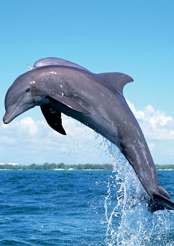 في سريلانكا أماكن جميلة يجدر إعادة اكتشافها