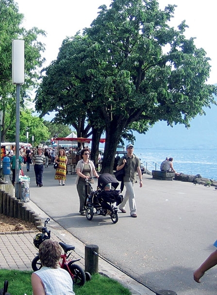 فيفيه في سويسرا