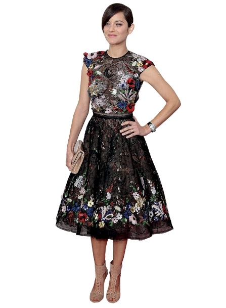 ماريون كوتيار متألقة بفستان دار زهير مراد