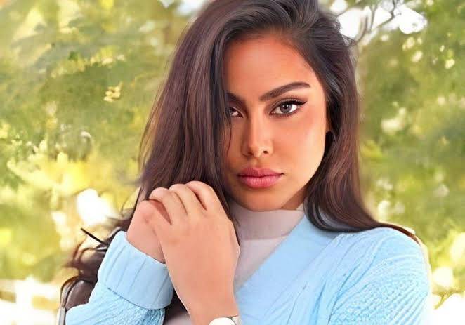 معلومات قانونية جديدة حول قضية الفاشينيستا فاطمة المؤمن وسنوات سجنها