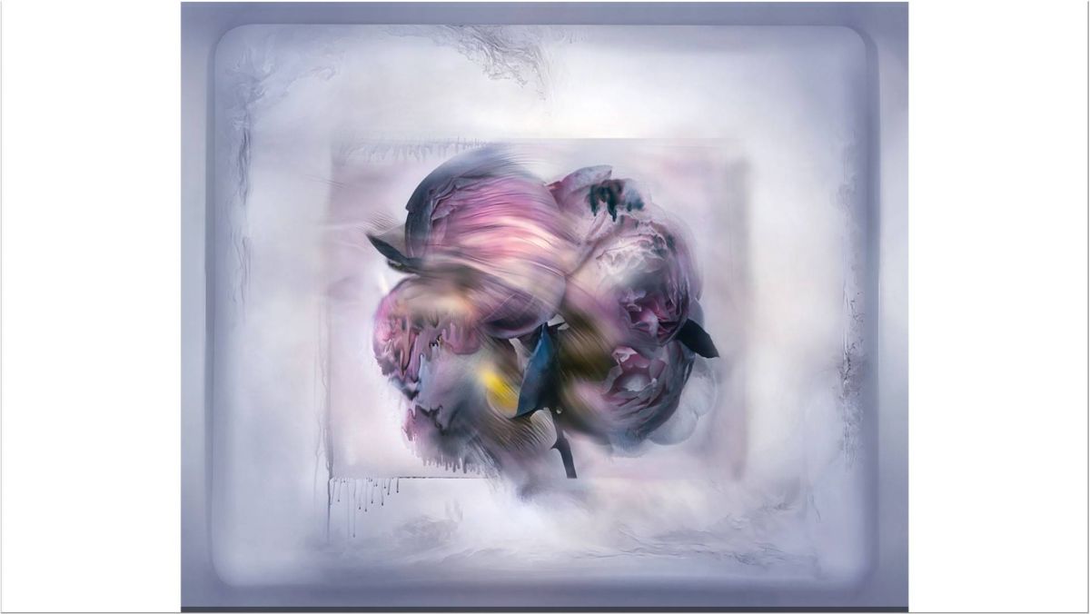 Gris Dior X Nick Knight
الفن ودار Dior