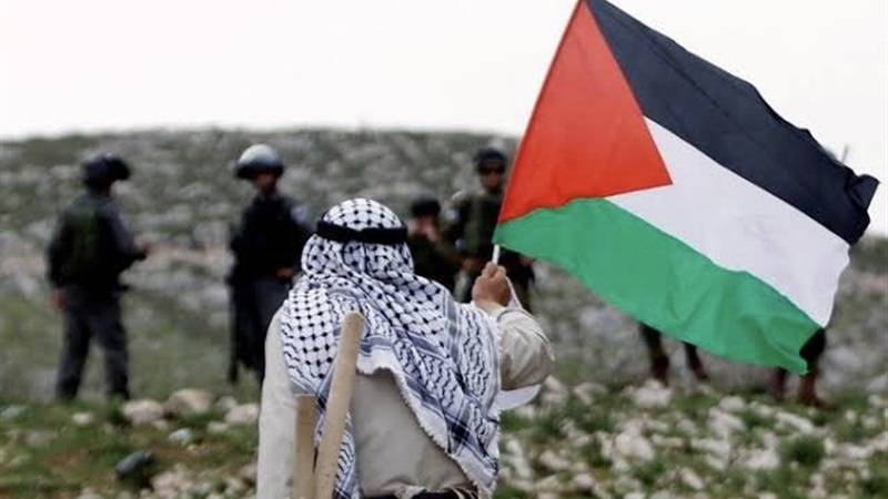 نجوم الفن يدعمون الشعب الفلسطيني