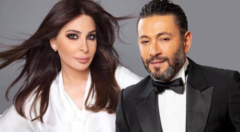 محكمة استئناف دبي تُصدر حكمها في دعوى إليسا ضد زياد برجي