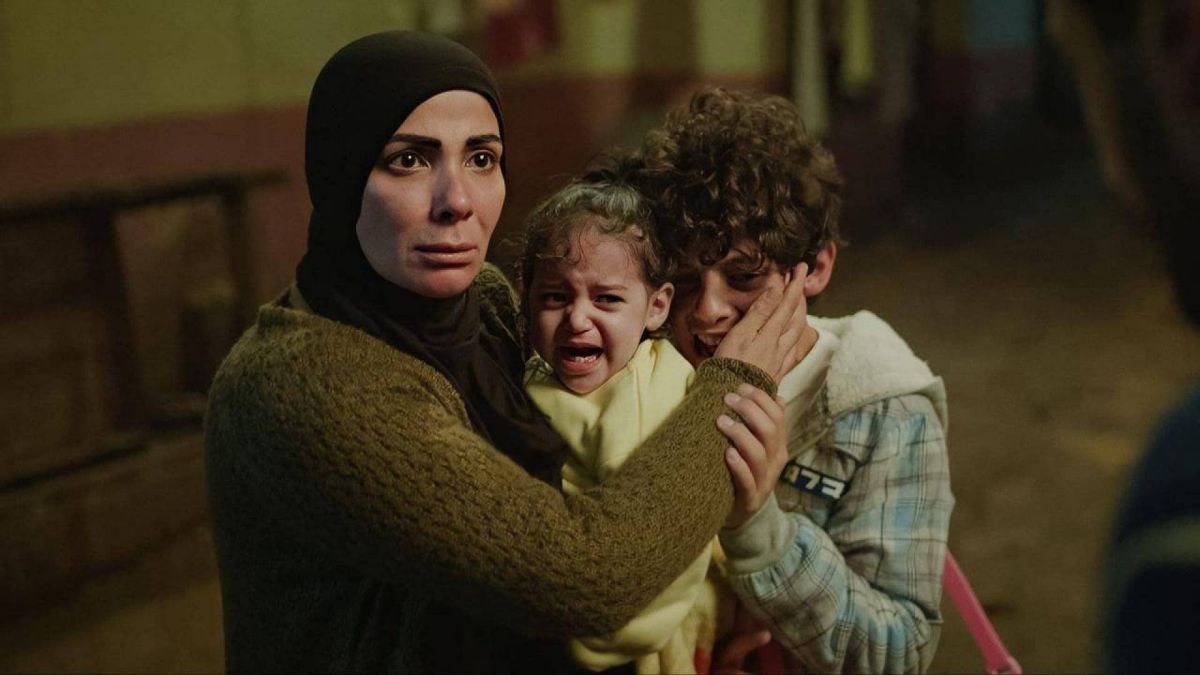 بالفيديو - مؤلفة 