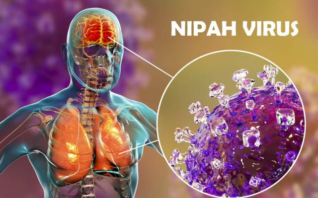 تحذير جديد من فيروس Nipah المميت!