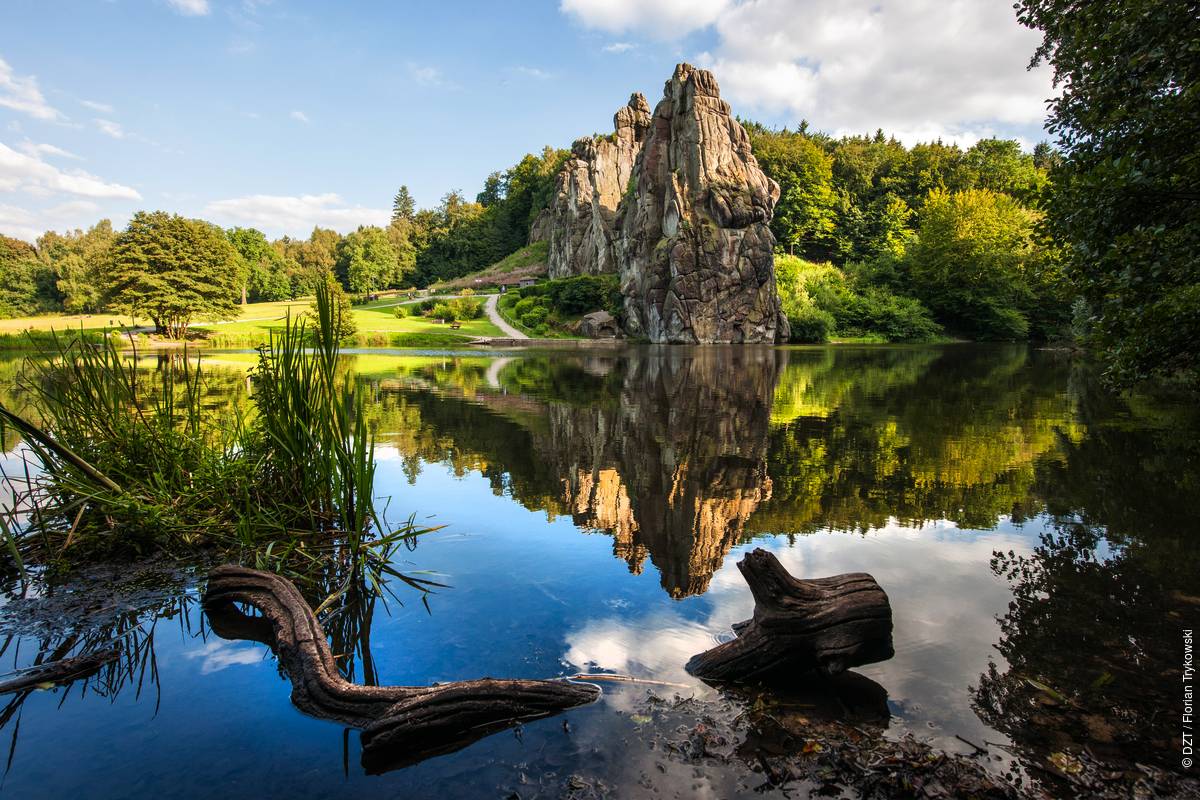 ألمانيا ومبادراتها الناجحة للتركيز على البيئة