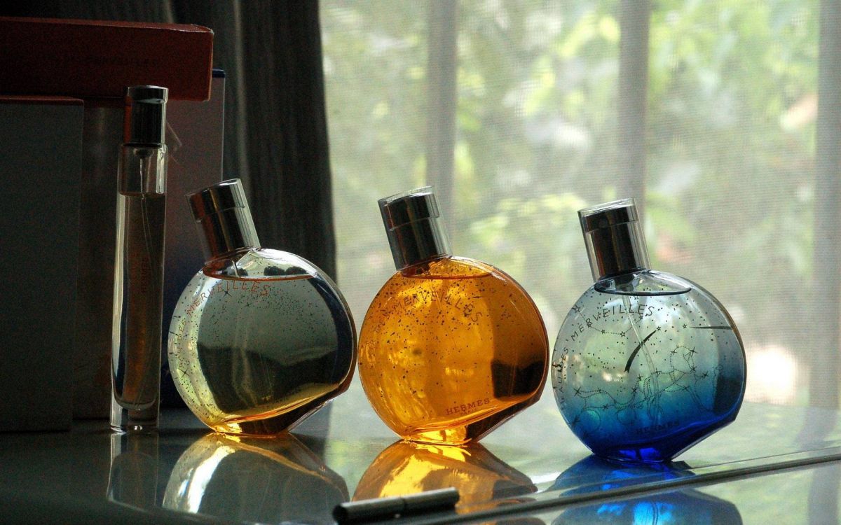 عندما يولد الجمال من عالم الأزياء