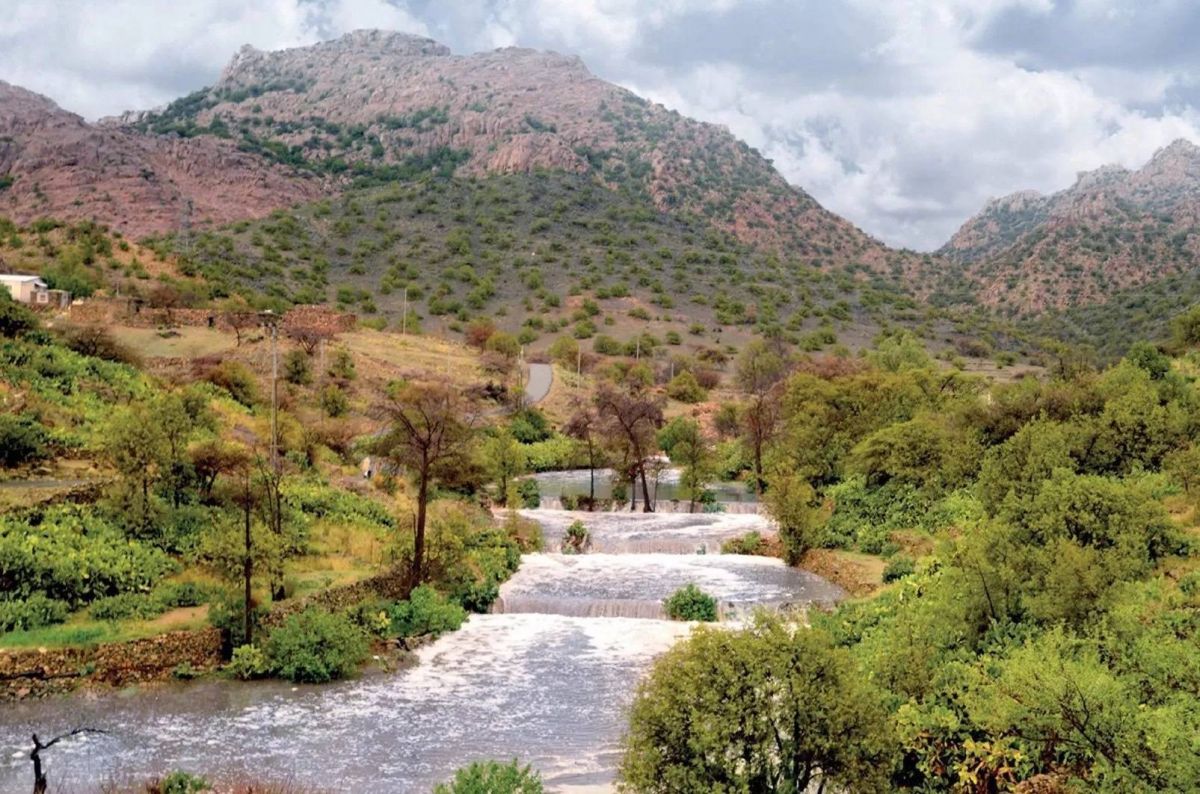 الطائف السعودية تنضم إلى شبكة اليونسكو للمدن الإبداعية