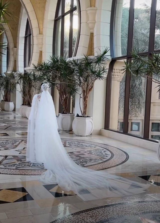  دانية شافعي