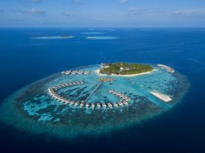 منتجع وسبا "سينتارا راس فوشي" في المالديف: عنوان الإقامة الفاخرة والاستدامة