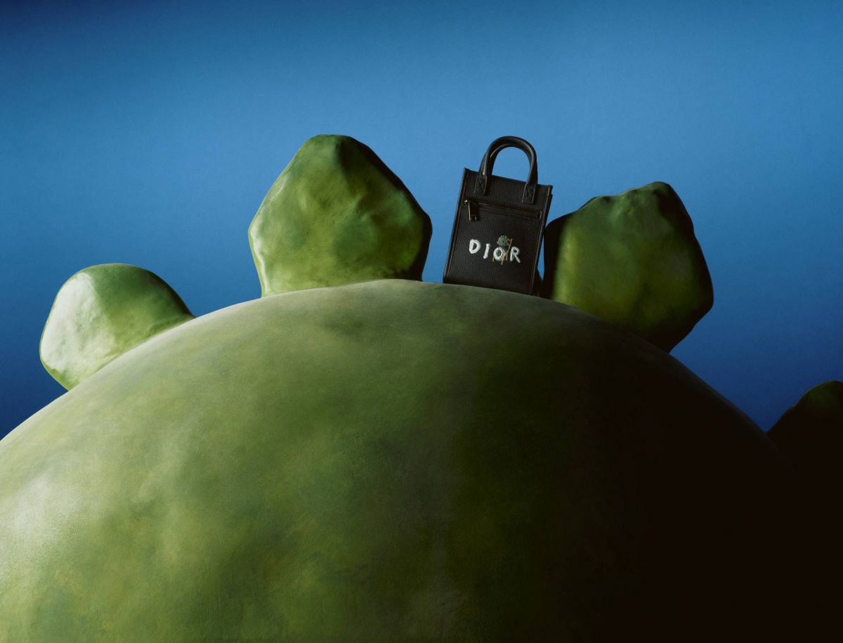 مجموعة الكبسولة Dior ومشغل 