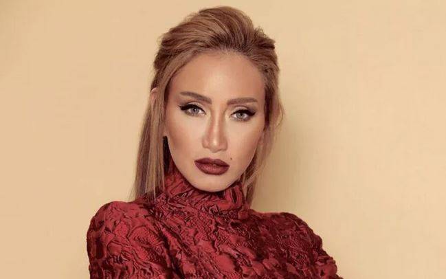 بين ريهام سعيد ونادر صعب... ما هو الرأي القانوني المحايد في هذه القضية؟