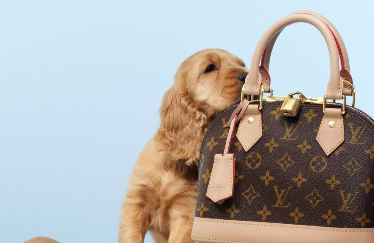 يوم الحب مع دار لويس فويتون رومانسي جداً