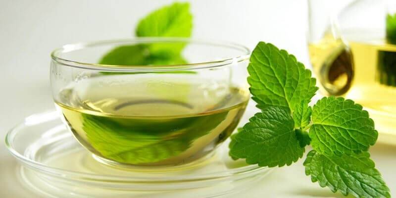تناولي كوب من النعناع بين وجبتي الإفطار والسحور ولن تندمي