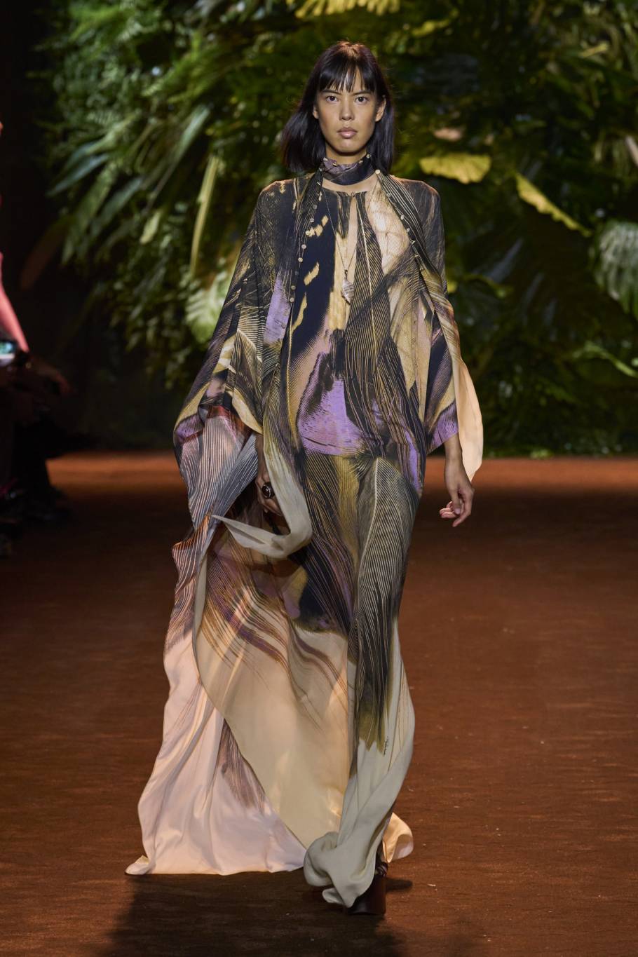 Cavalli Cavalli