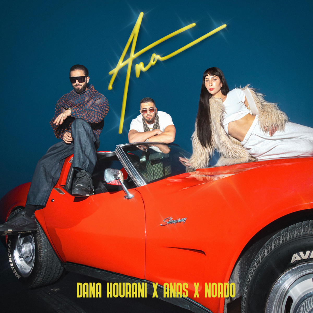 دانا حوراني تطرح 