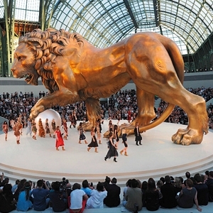 شانيل والأسد