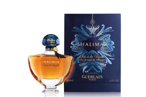 ترف الفانيلا 