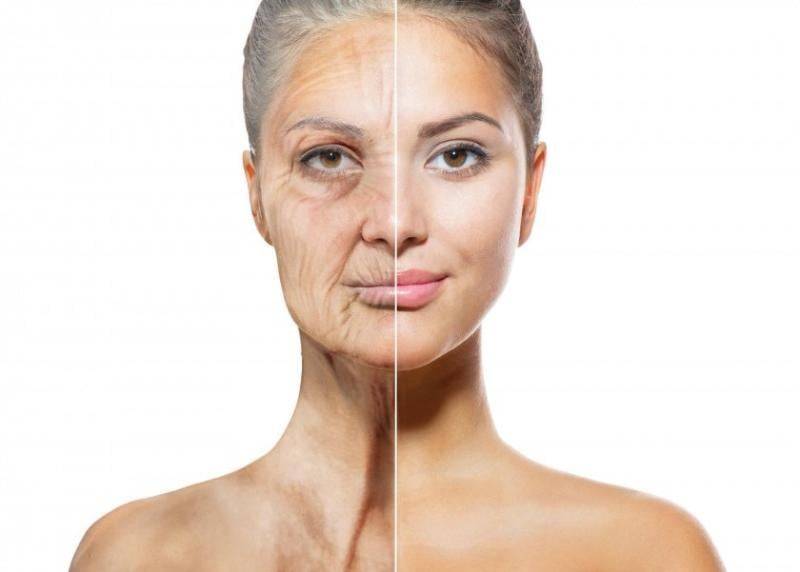 إحذري.. خلايا الجسم قد تشيخ سنوات في يوم واحد!