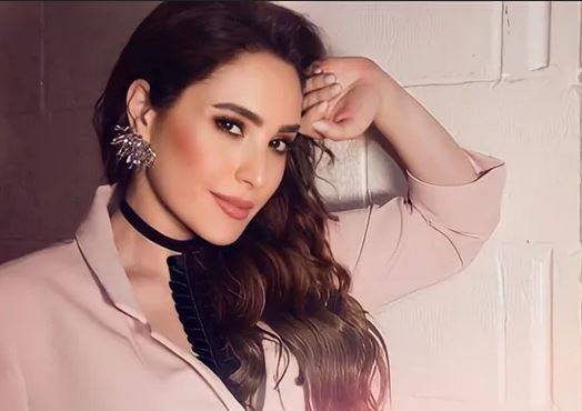 عبير نعمة تروي تجربتها القاسية مع الطلاق: 