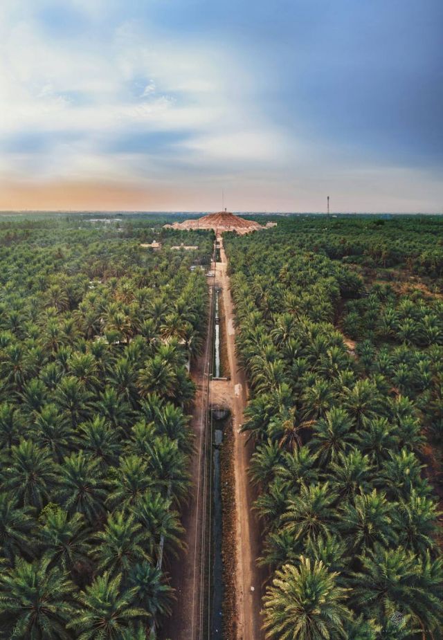 مسار الواحة التراثي