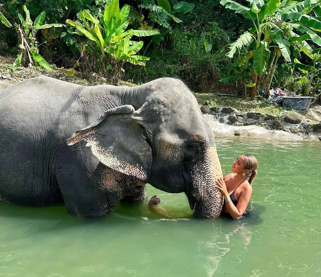 بالفيديو - مغنّية تونسية تتعرض لحادث مرعب في فرنسا